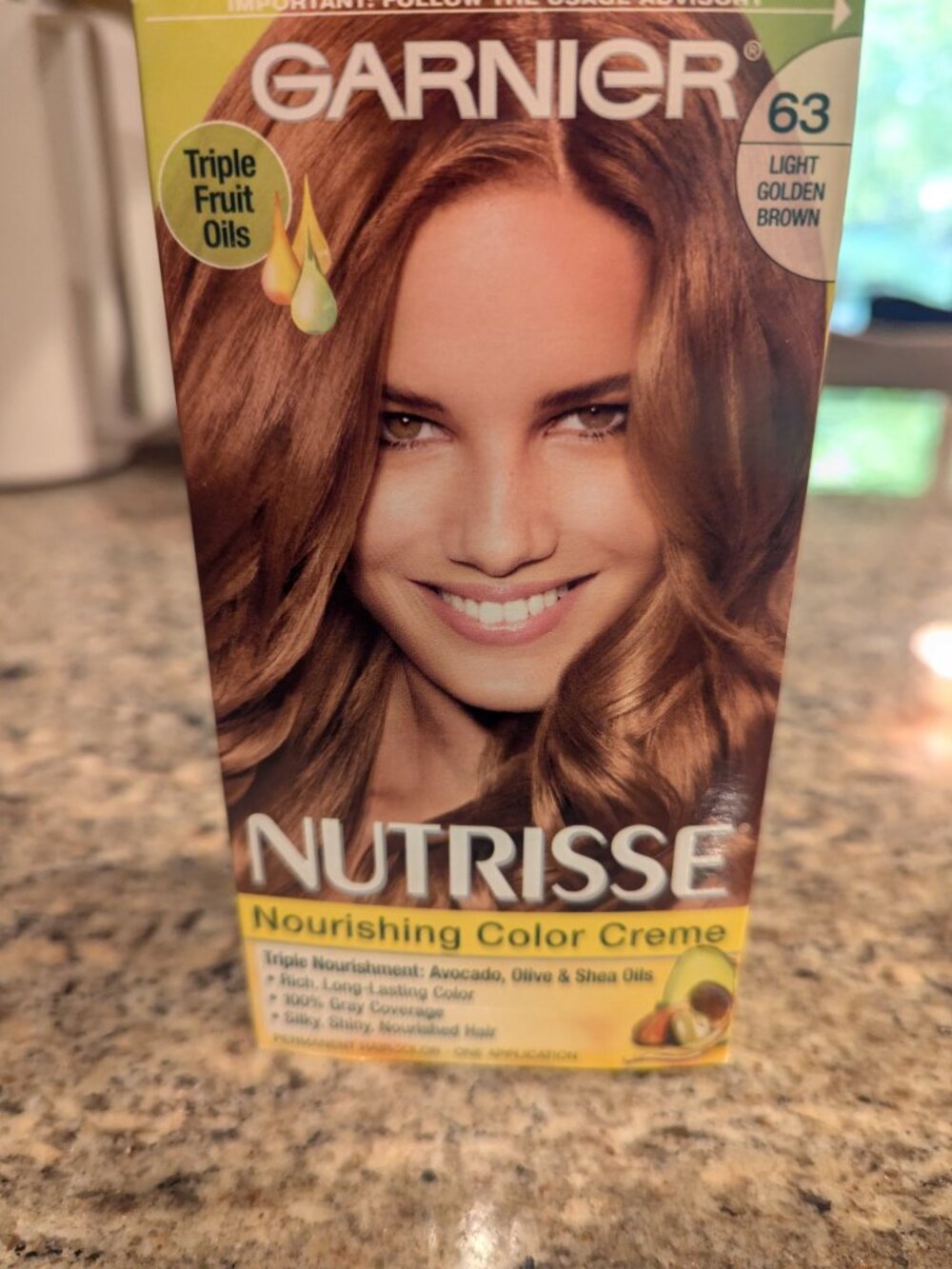Garnier Hair Color #63 Light Golden Brown